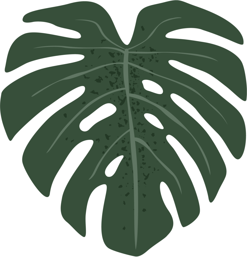 Plant Graphic